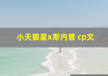 小天狼星x斯内普 cp文